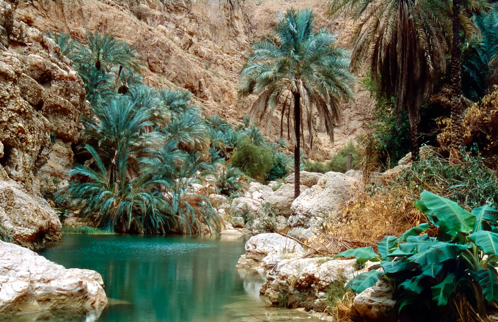 oman hostel